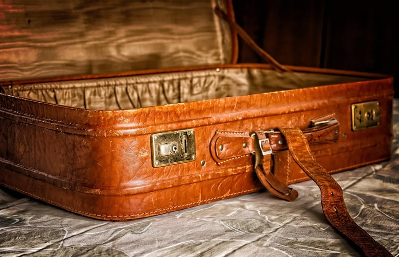 Vintage suitcase shelves